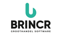 brincr logo